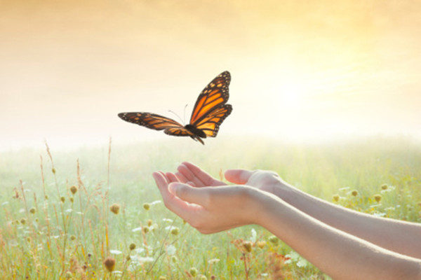 Girl releasing a butterfly